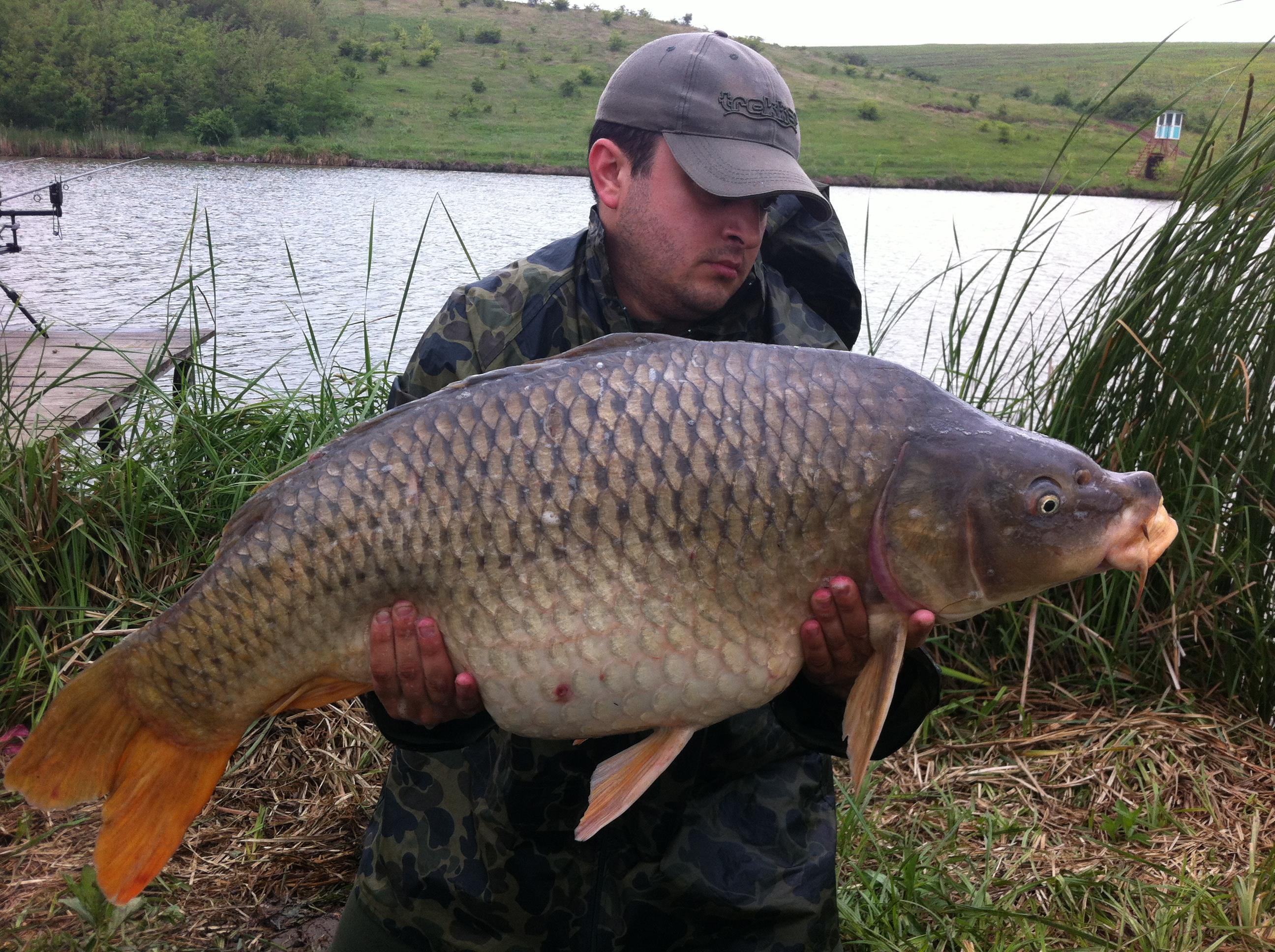 Magura 9 - IMG_0133.JPG